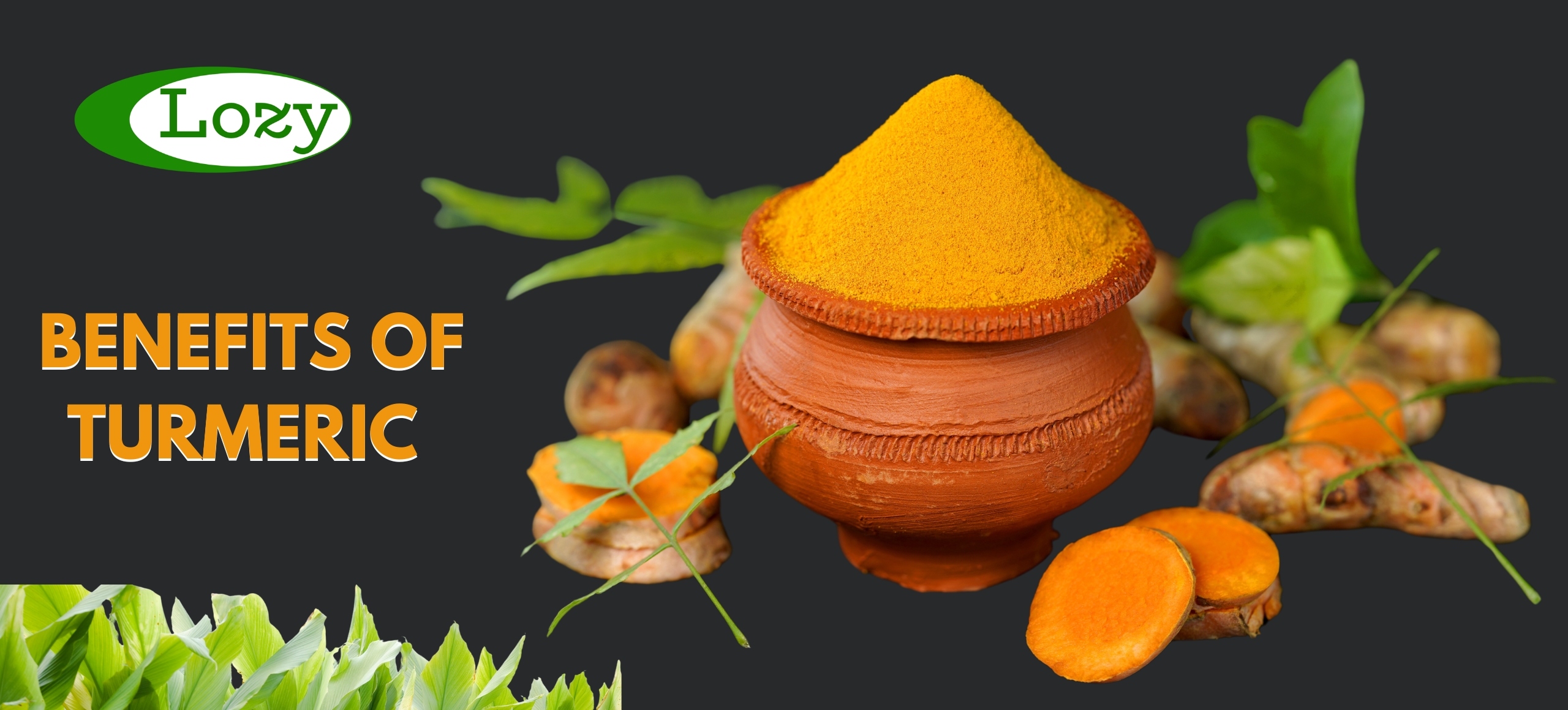 BENEFITS OF TURMERIC