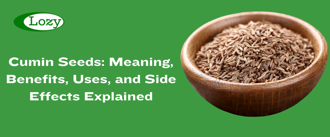 Cumin seeds